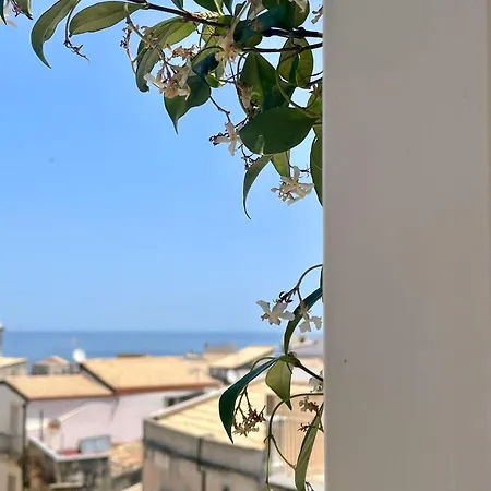 Alma Maris Terrazza Al Tempio By Bed&bros Lägenhet